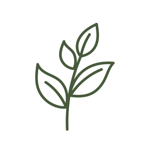 A flourishing leafy stem, representing sustainable growth.
